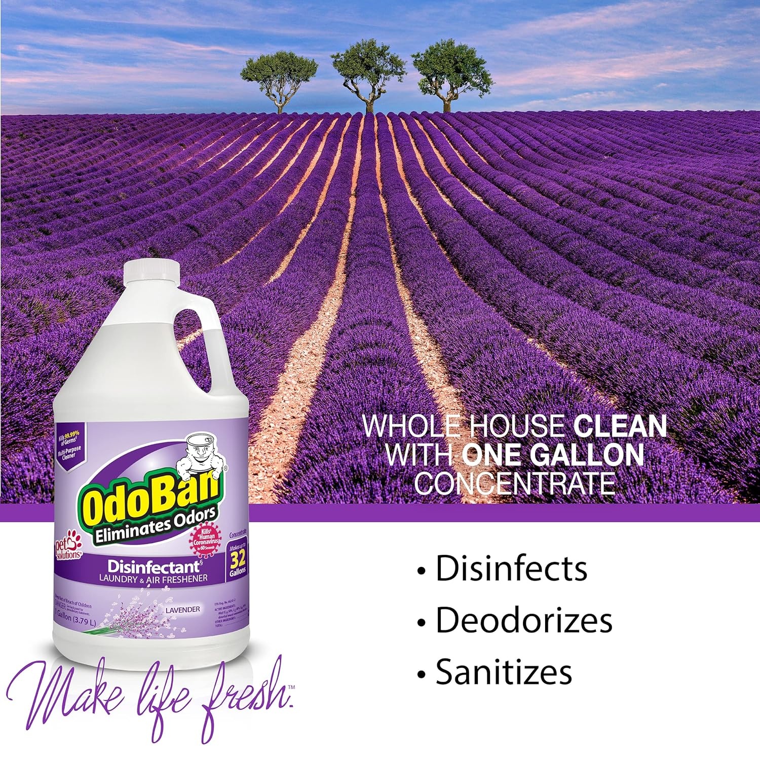 image:imageOdoBan Disinfectant Concentrate and Odor Eliminator 1 Gallon Citrus ScentPurple