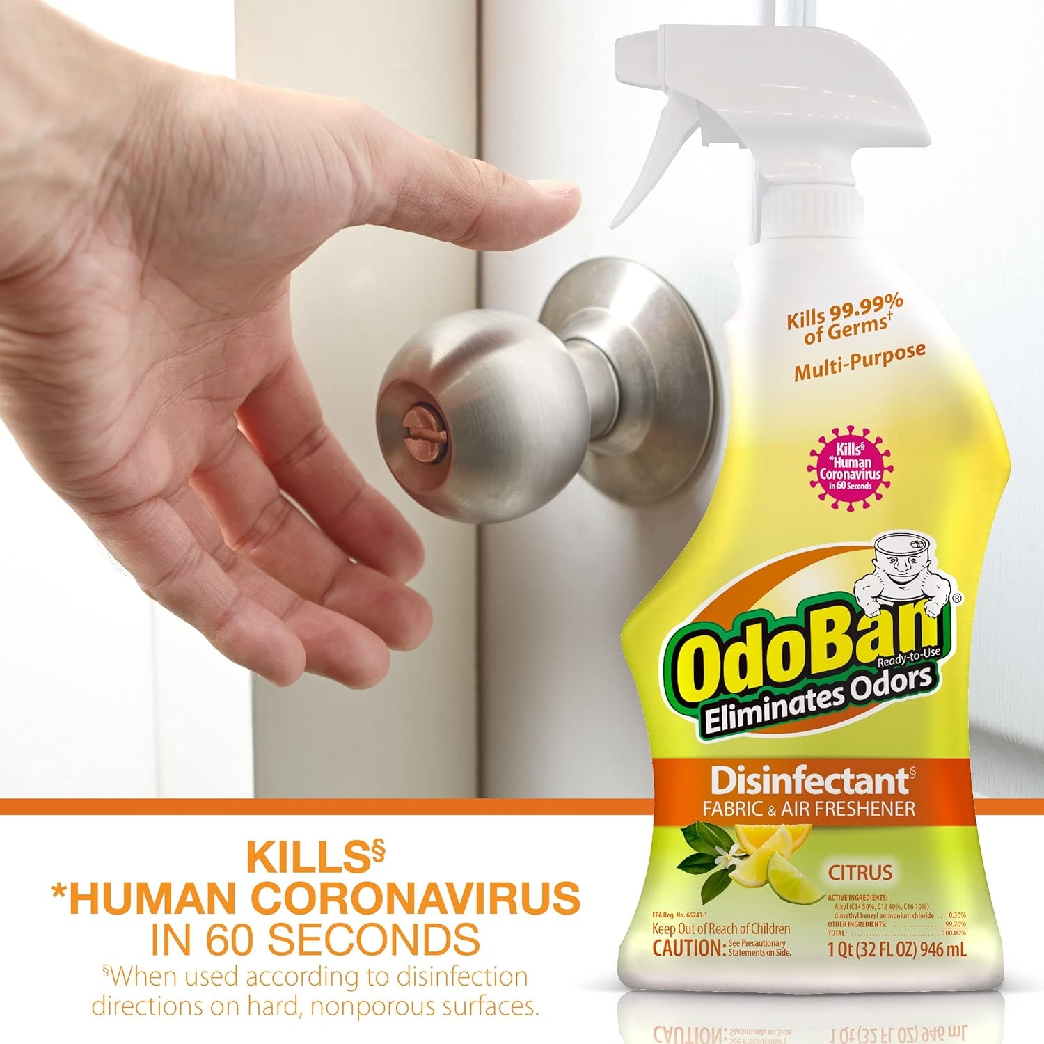 image:imageOdoBan Disinfectant Concentrate and Odor Eliminator Made in the USA Original Eucalyptus Lavender and Cotton Breeze Scents 3 GallonsCitrus