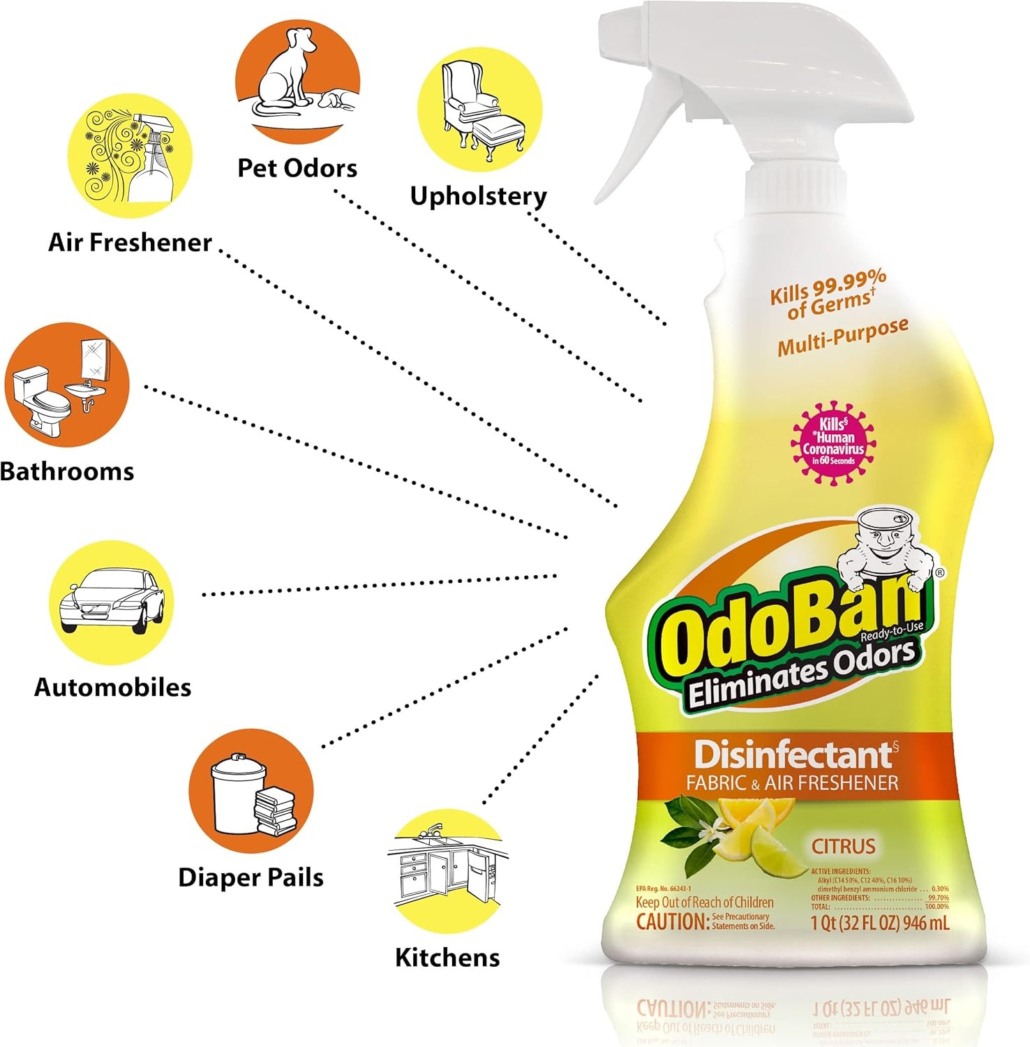 image:imageOdoBan Disinfectant Concentrate and Odor Eliminator Made in the USA Original Eucalyptus Lavender and Cotton Breeze Scents 3 GallonsCitrus