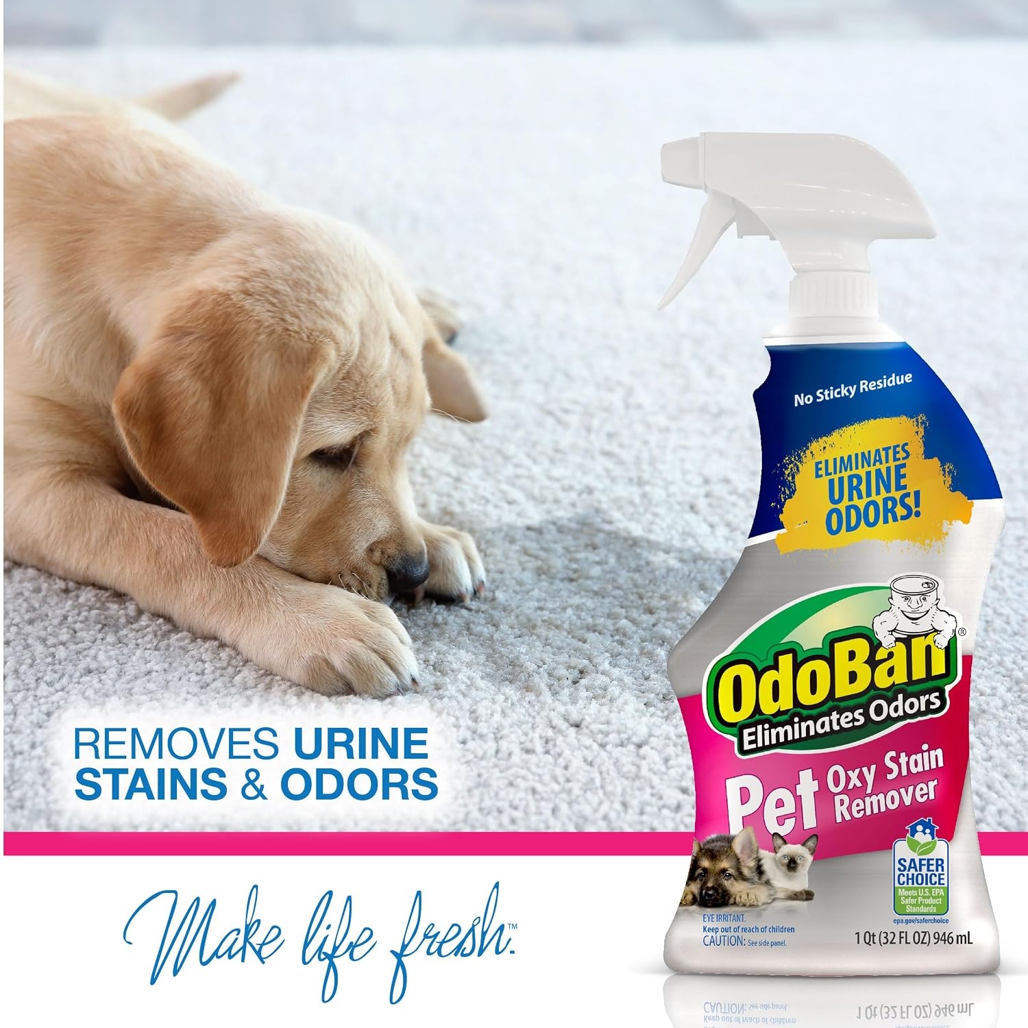image:imageOdoBan Pet Solutions No Rinse Neutral pH Floor Cleaner Concentrate Made in the USA 1 Gallon and Oxy Stain Remover 32 Ounce SprayCitrus