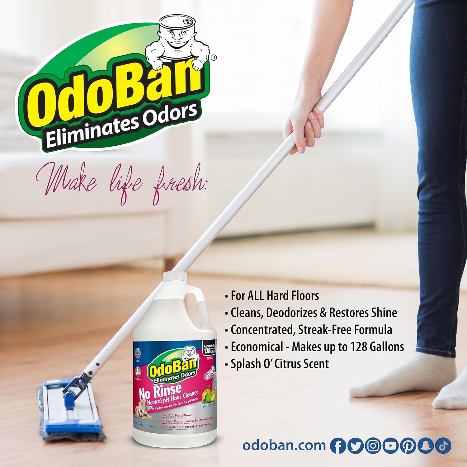 image:imageOdoBan Pet Solutions No Rinse Neutral pH Floor Cleaner Concentrate Made in the USA 1 Gallon and Oxy Stain Remover 32 Ounce SprayCitrus