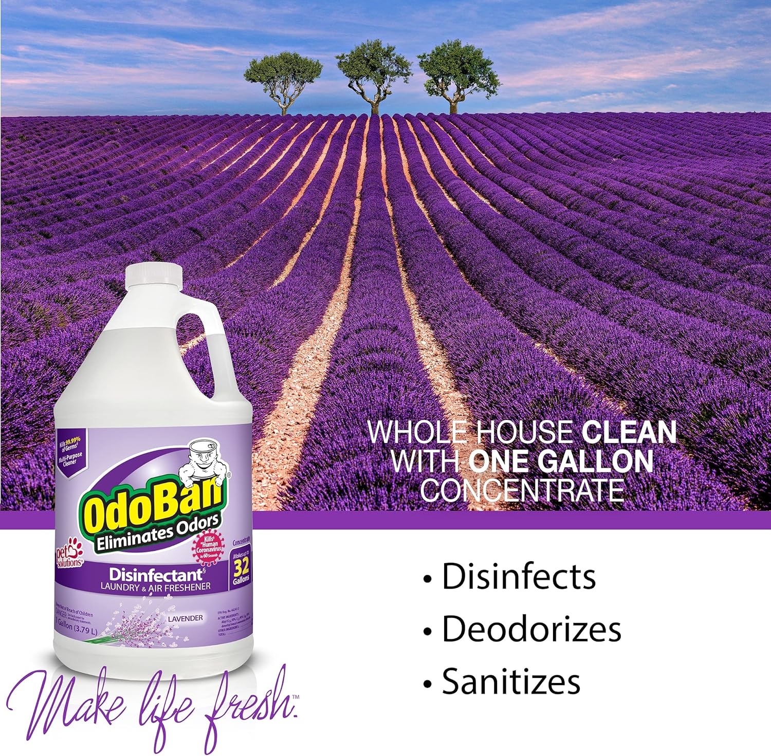 image:imageOdoBan ReadytoUse Disinfectant and Odor Eliminator Set of 3 4 Ounce Travel Spray 32 Ounce Spray 1 Gallon Concentrate Lavender Scent