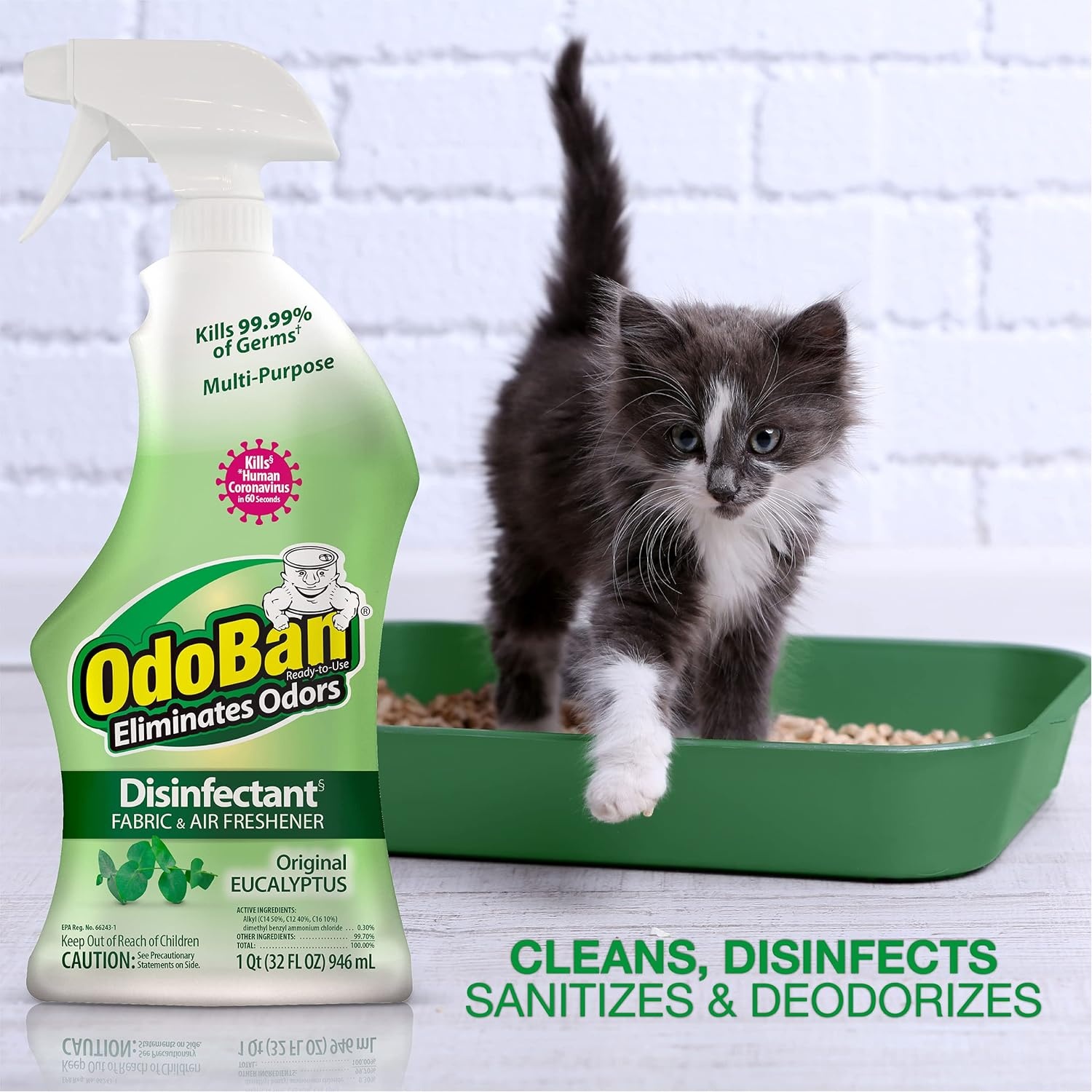 image:imageOdoBan ReadytoUse Disinfectant and Odor Eliminator Set of 3 4 Ounce Travel Spray 32 Ounce Spray 1 Gallon Concentrate Original Eucalyptus ScentEucalyptus