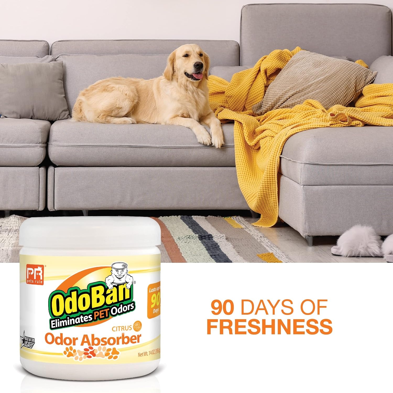 image:imagePets Rule OdoBan Solid Odor Absorber Air Freshener 3Pack 14 Ounce Jar Each Citrus ScentCitrus