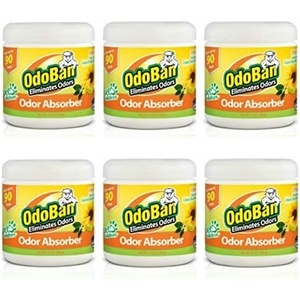 OdoBan Solid Odor Absorber Eliminator for Home and Small Spaces, Citrus Scent, 14 Ounces Each, 3-Pack(1 Count (Pack of 6))