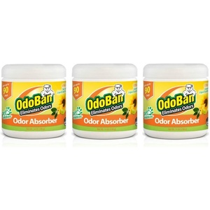 OdoBan Solid Odor Absorber Eliminator for Home and Small Spaces, Citrus Scent, 14 Ounces Each, 3-Pack(14 Ounce (Pack of 3))